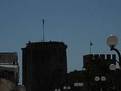 28: DSCN4752